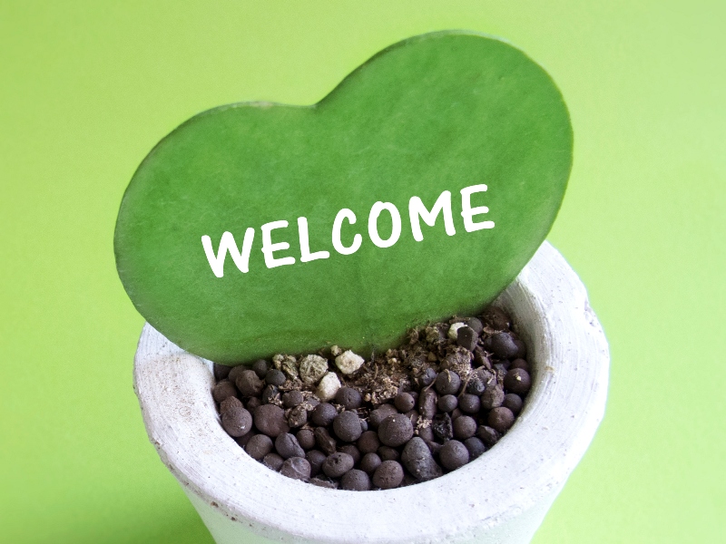 千賀自動車 蒲郡 整備 車検 点検 板金塗装 損害保険 整備士 国土交通省中部運輸支局指定工場